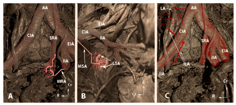 Figure 6