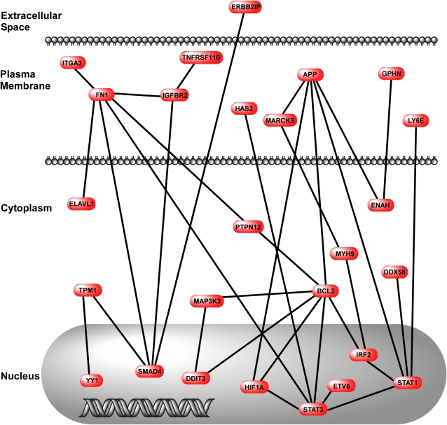 Figure 10.