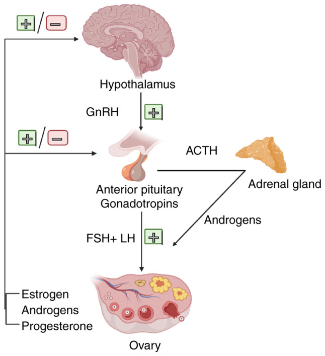 Figure 1.