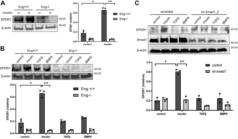 Figure 5