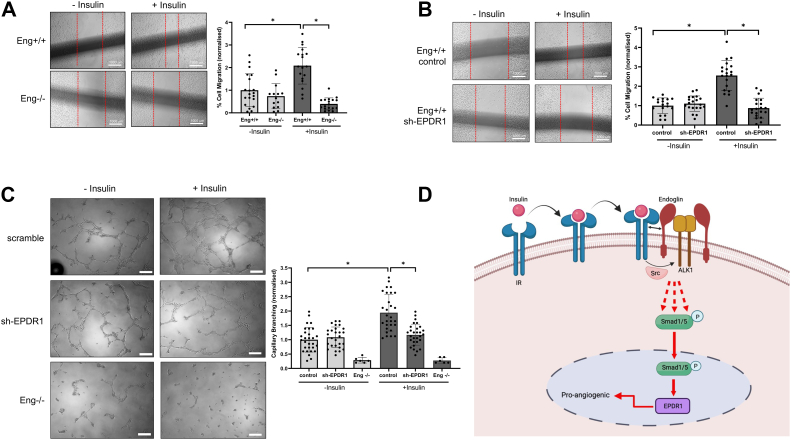 Figure 6