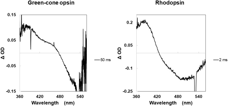 Fig. 5.