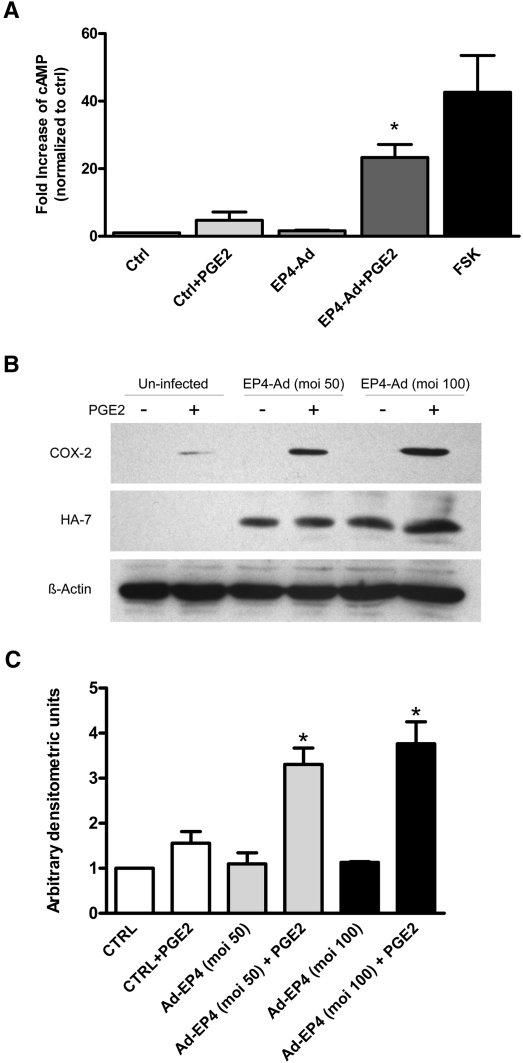 Figure 9.