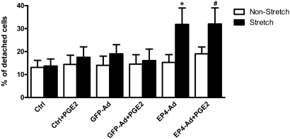 Figure 10.