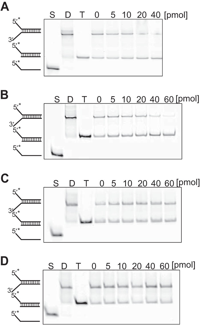 FIG 2