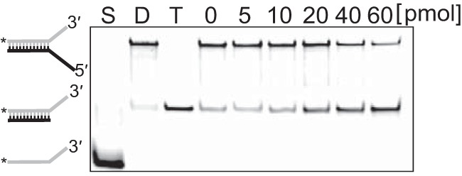 FIG 5