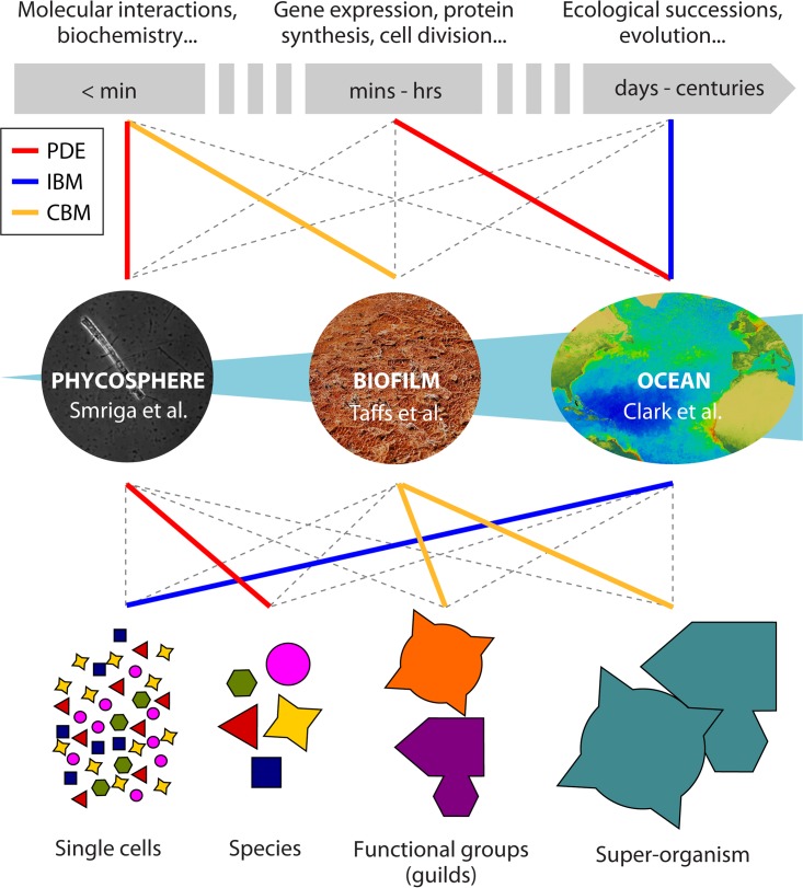 FIG 1