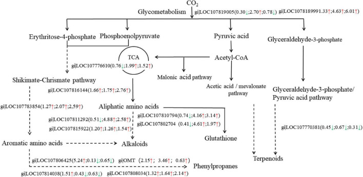 FIGURE 7