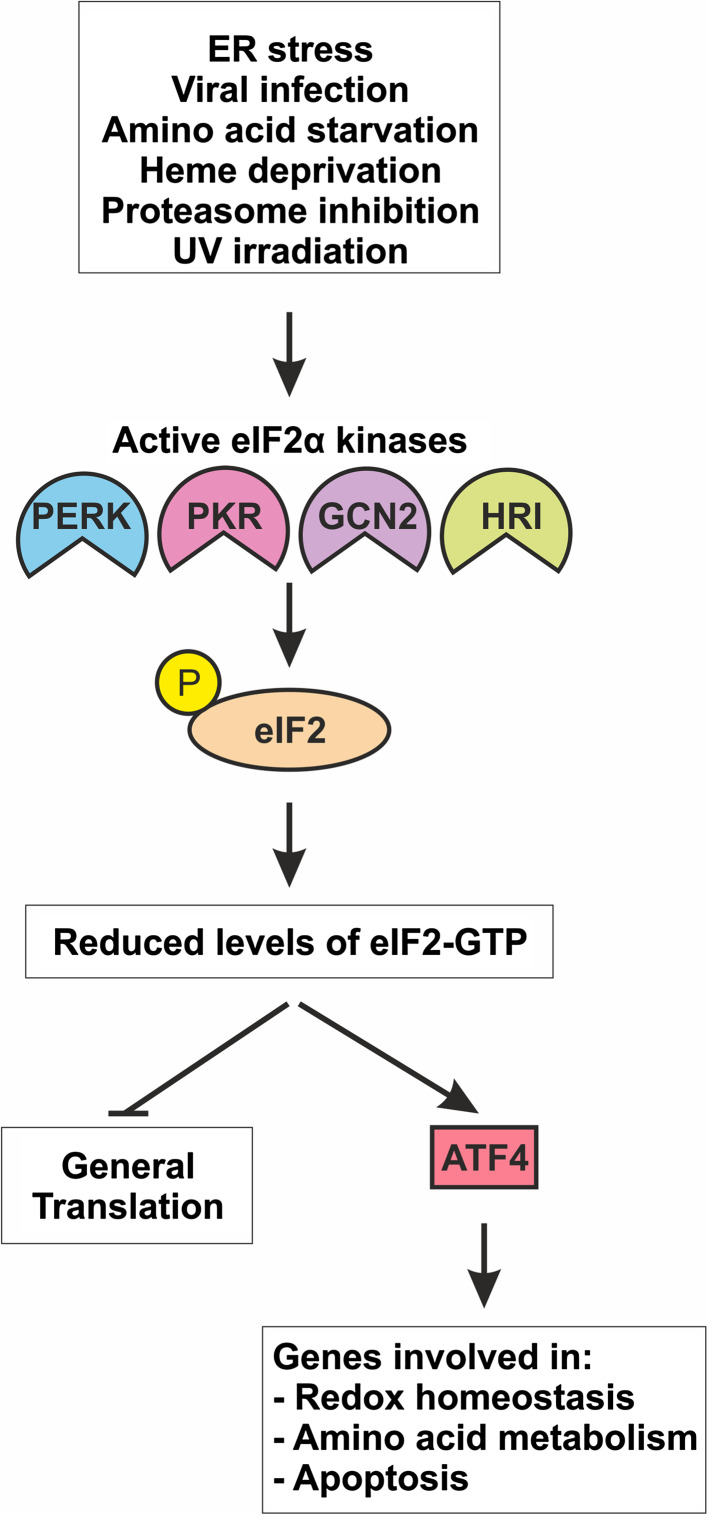 Fig. 2