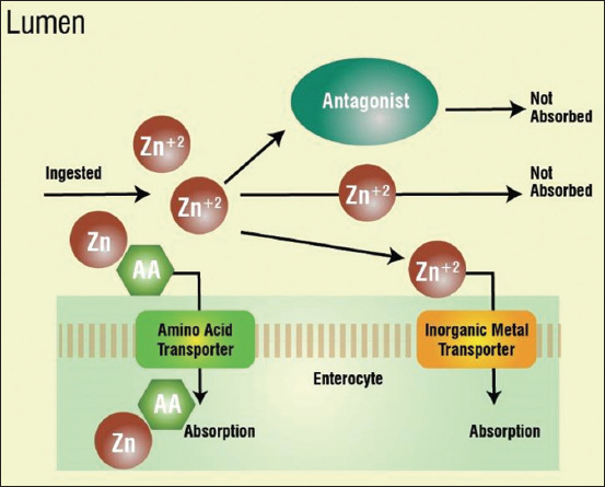 Figure-3