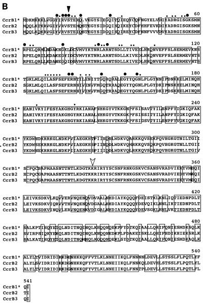 FIG. 3