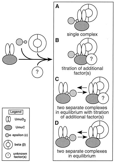 FIG. 5