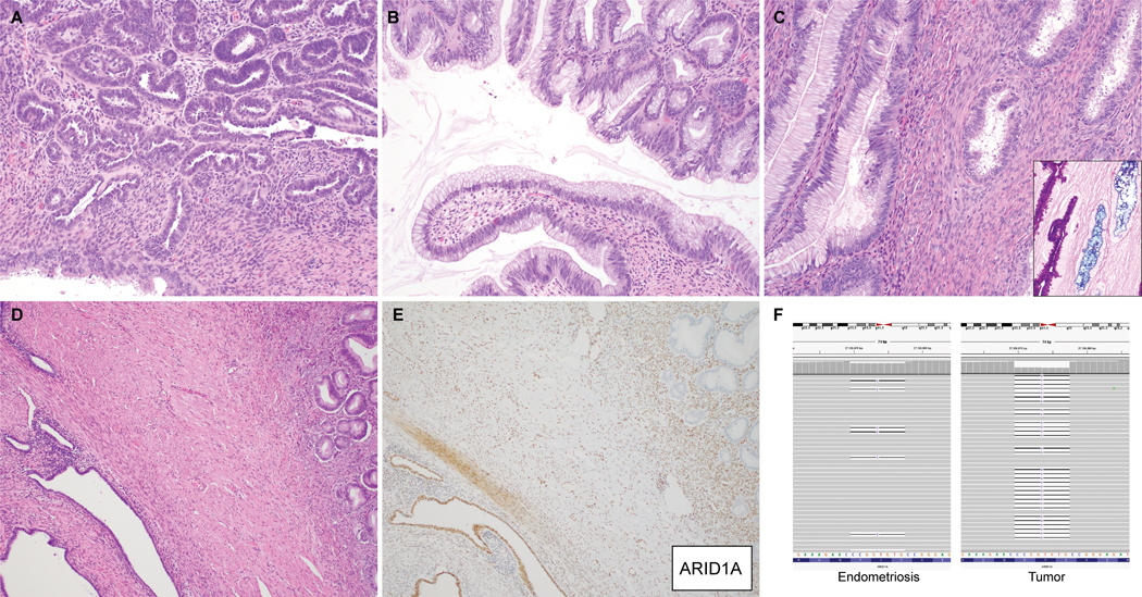 Figure 3: