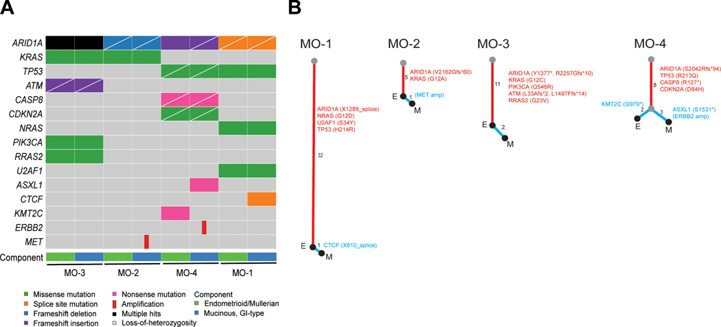 Figure 5: