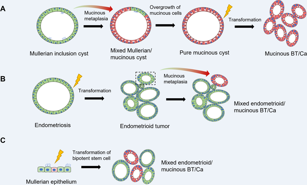 Figure 6: