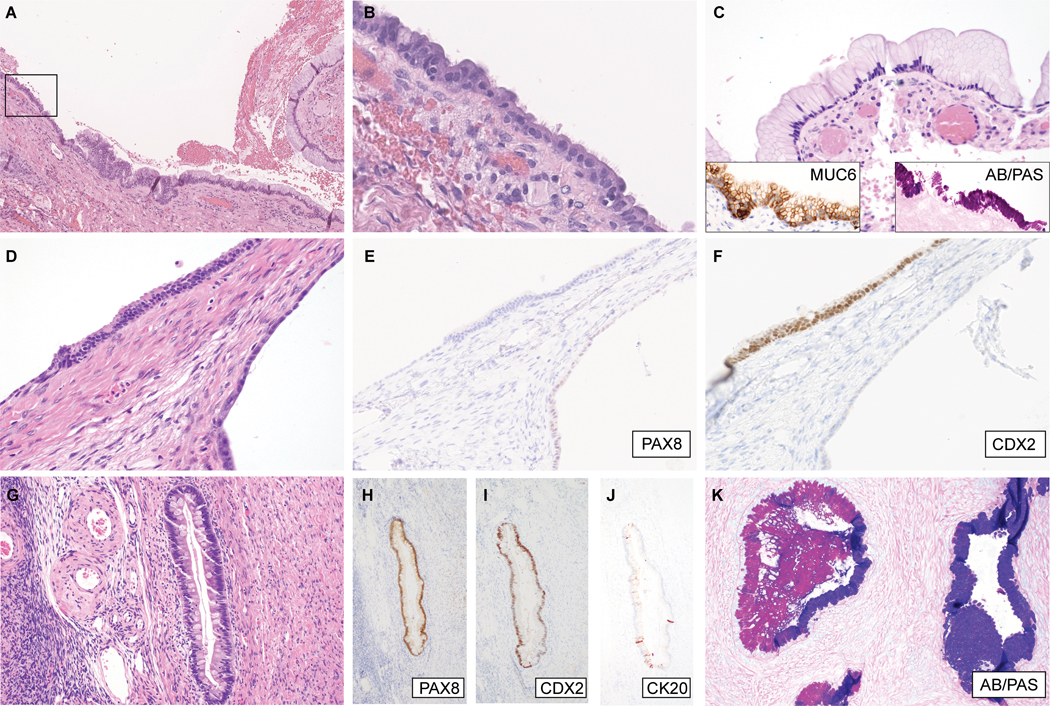 Figure 1: