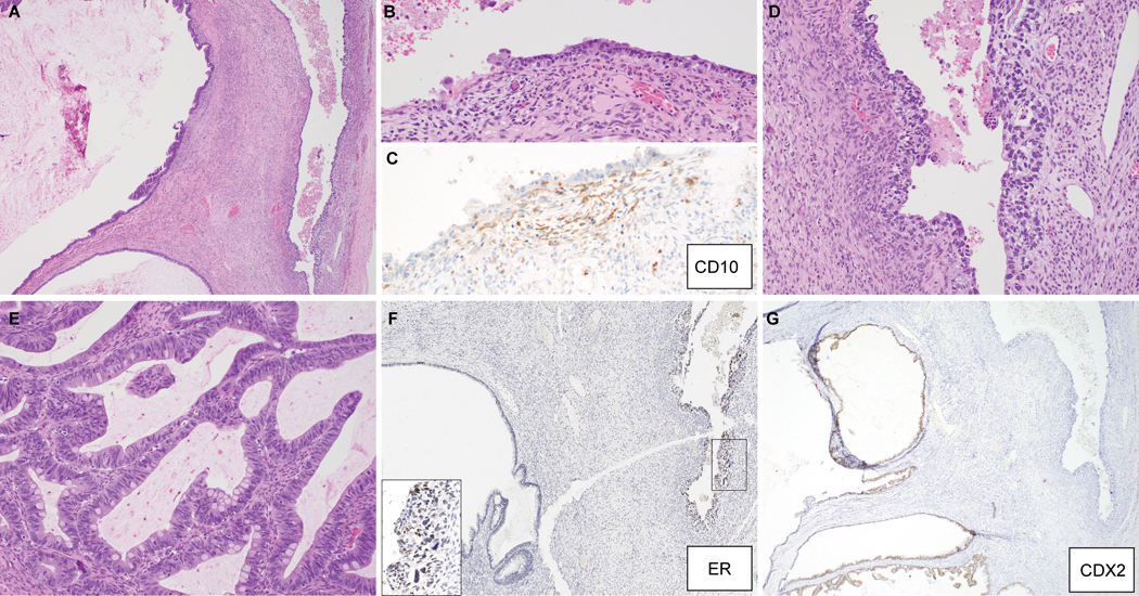 Figure 4: