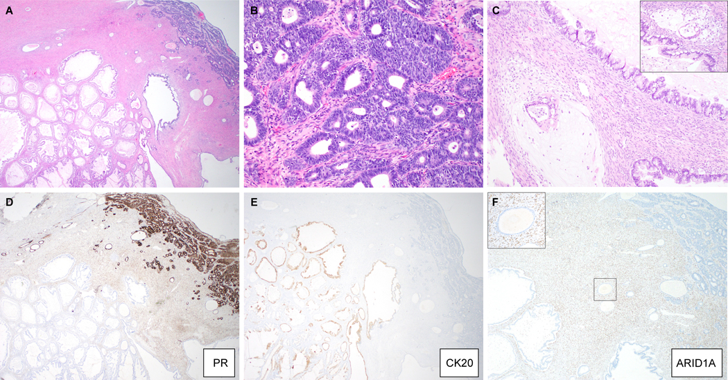 Figure 2: