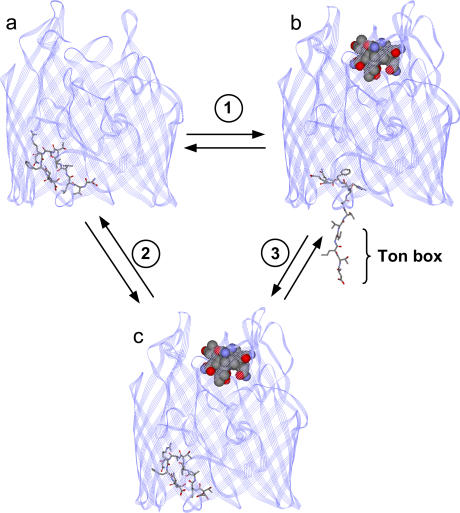 FIGURE 1