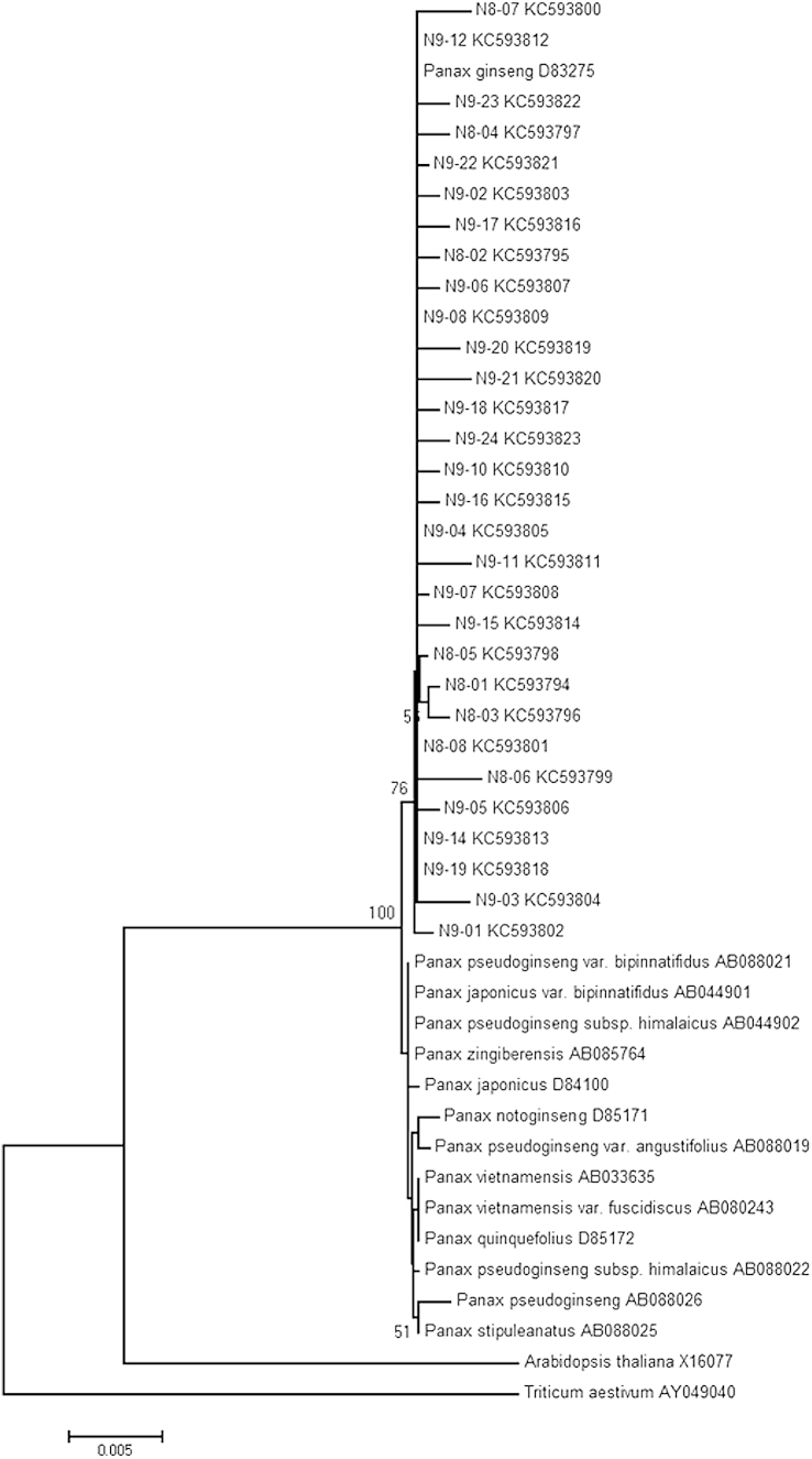 Fig. 6