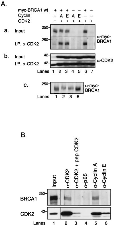 FIG. 5