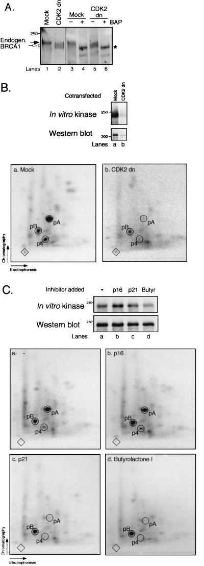 FIG. 6