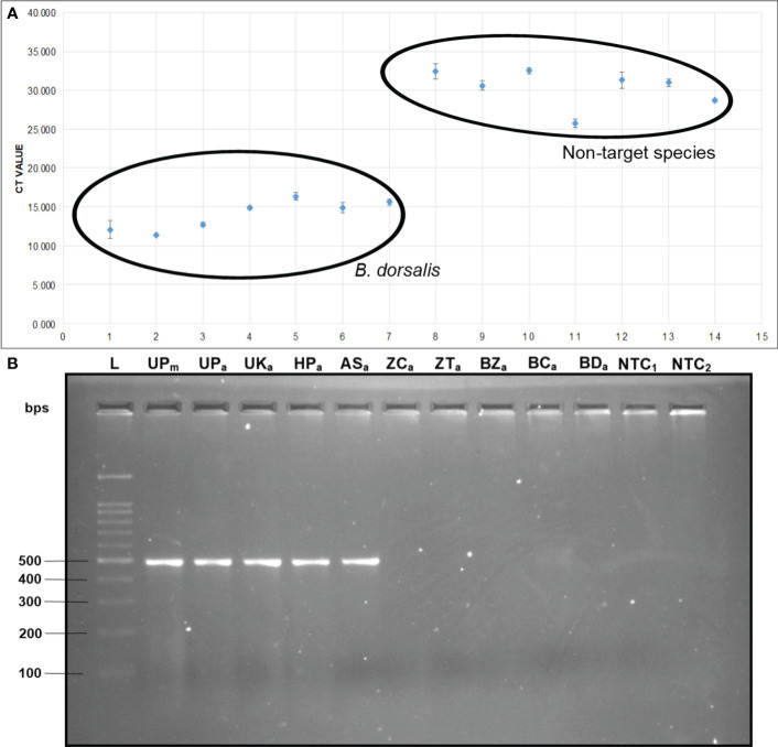 Figure 10