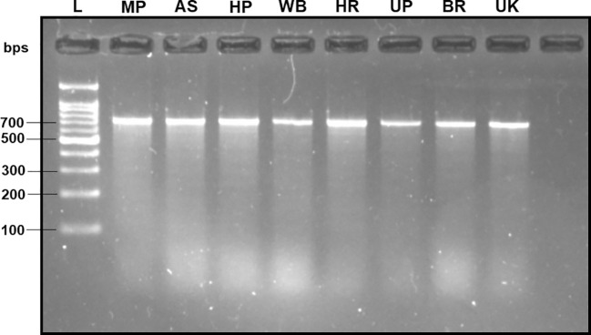 Figure 2