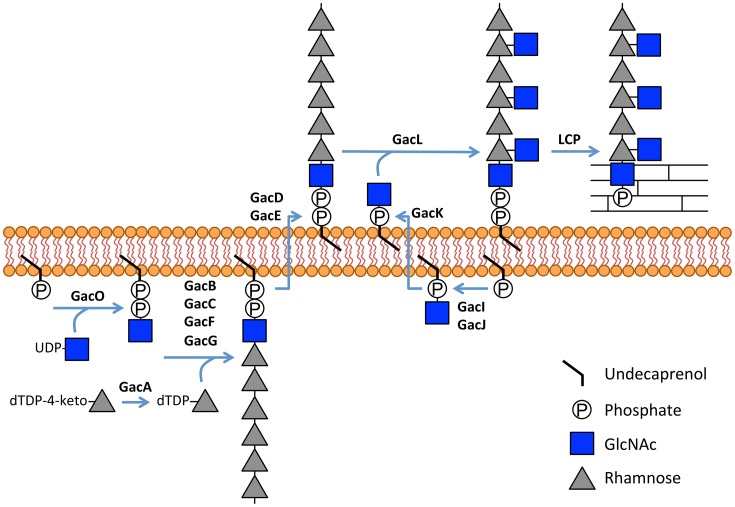 Figure 9.