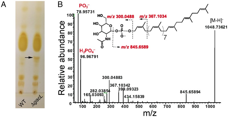 Figure 2.