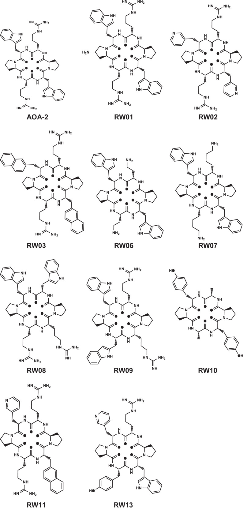 FIGURE 1