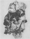 486-3