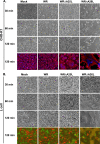 FIG. 6.