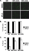 FIG. 4.