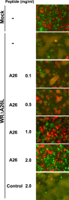 FIG. 7.