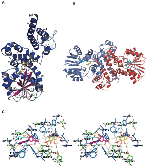 Fig. 3