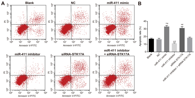 Figure 11.