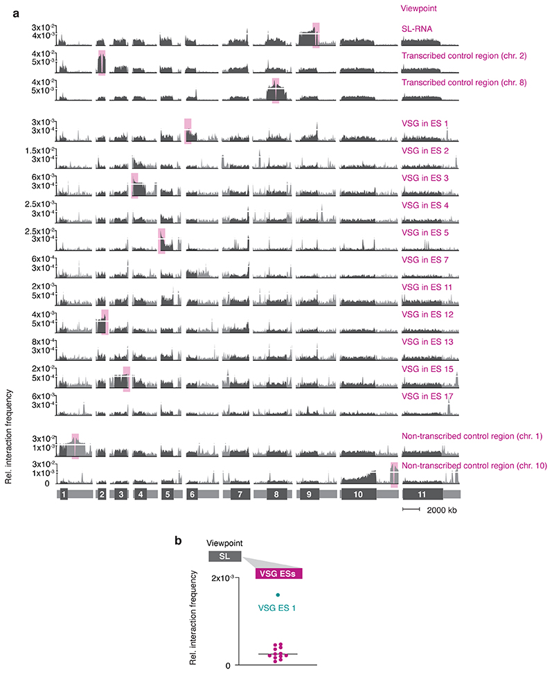 Extended Data Fig. 1