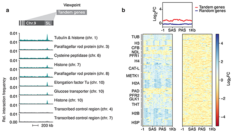 Extended Data Fig. 9