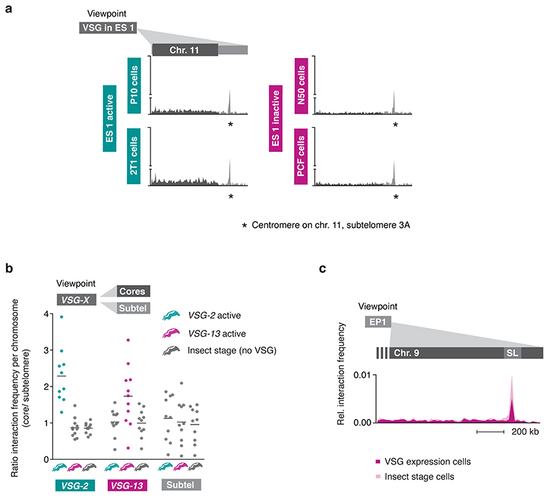 Extended Data Fig. 3