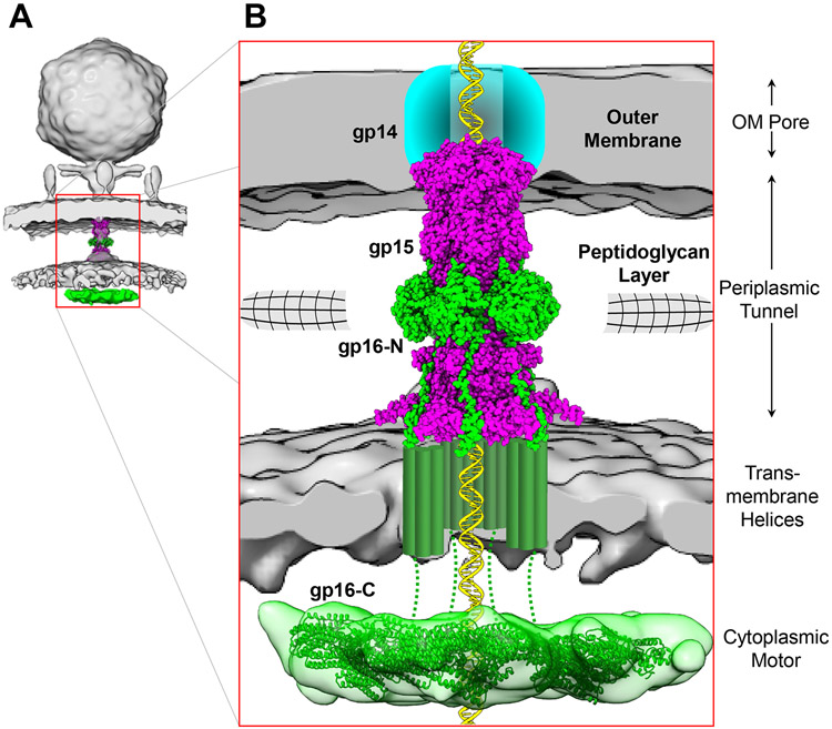 Figure 7.