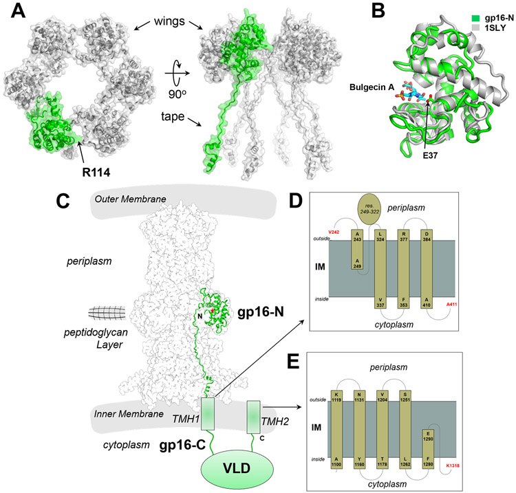 Figure 3.