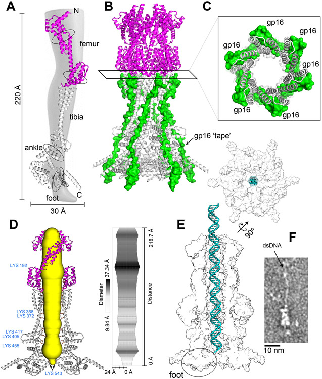 Figure 2.