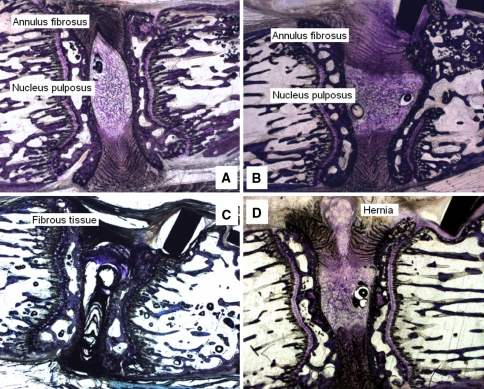 Fig. 7