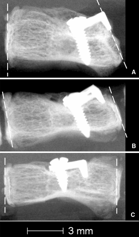 Fig. 6