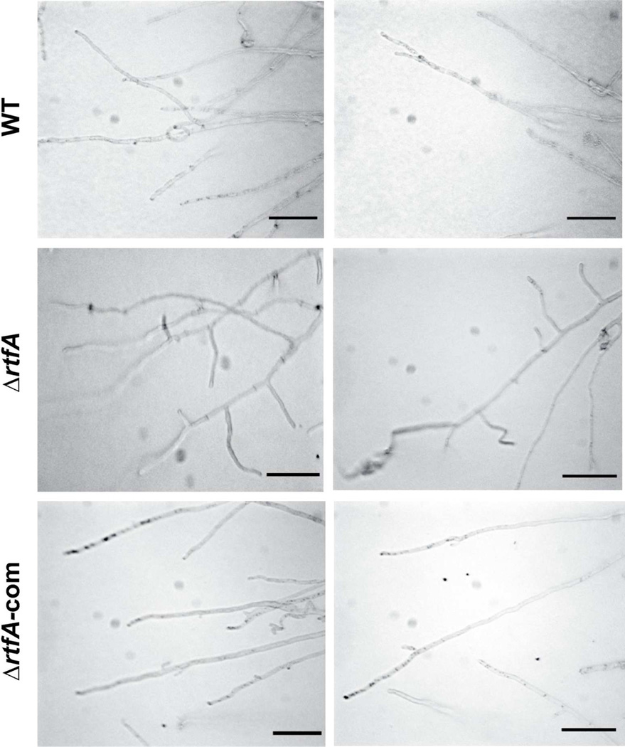 Fig. 9