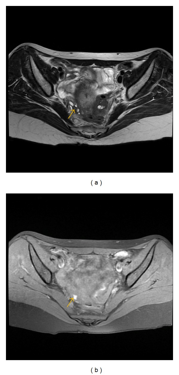 Figure 7