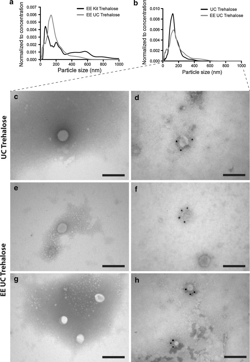 Fig. 5