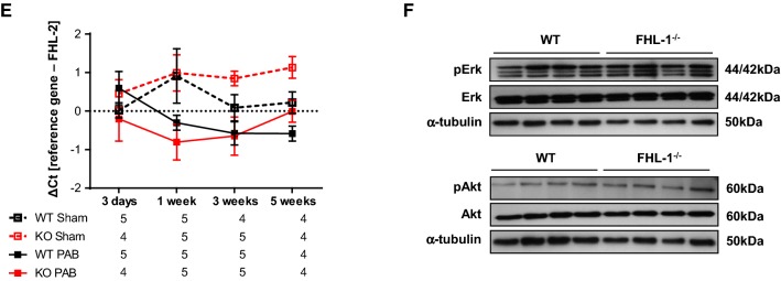 Fig. 7