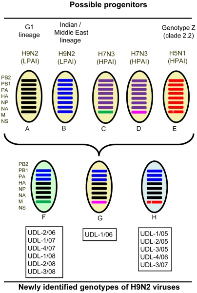 Figure 9